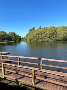 Lake Gerar - 3 Minutes Walk from the Condo