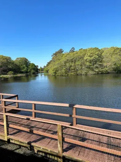 Lake Gerar - 3 Minutes Walk from the Condo