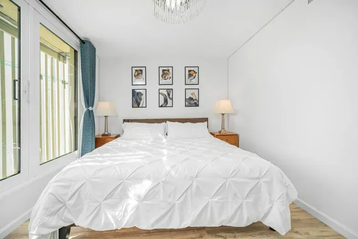 Master Bedroom with a King Size Bed