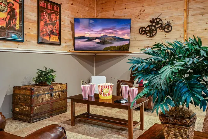 Cozy movie lounge with big-screen TV and rustic, cinematic charm