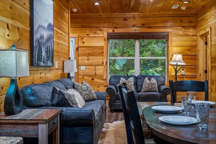 Cozy wood-lined cabin lounge with leather sofas and forest-view window.