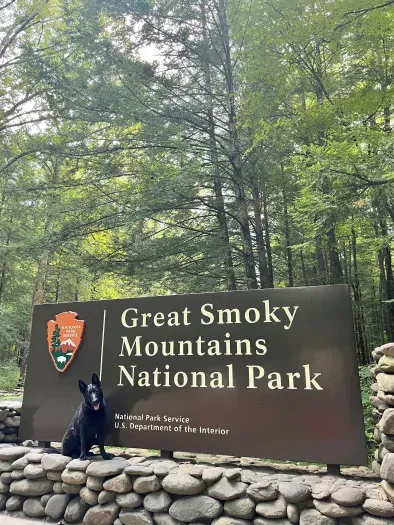 Cabin mascot, Cash, posing outside the national park
