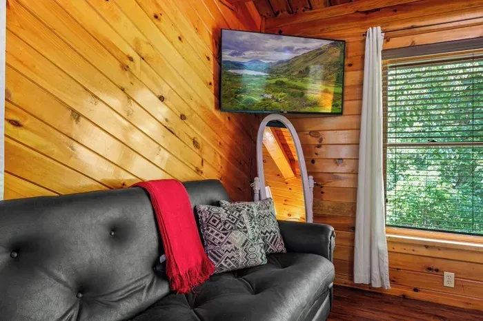 Streaming TV and pull out sofa