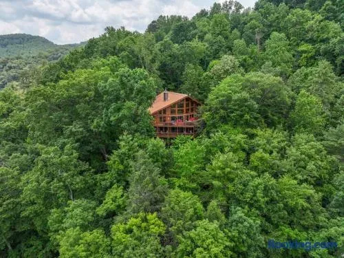 Experience the Smoky Mountains, not the smoky cookie cutter cabins