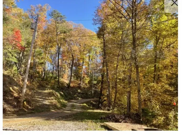 Secluded forest drive with vibrant fall foliage and blue skies