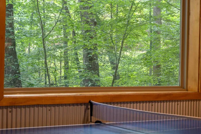 Ping pong with peaceful forest views through a stunning picture window