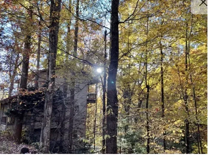 Secluded woodland cabin with balcony views and golden fall canopy