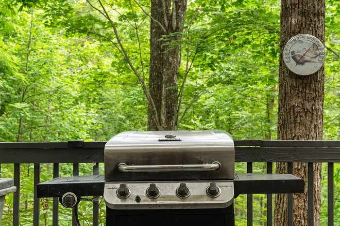 Private forest-view deck with gas grill for relaxing outdoor cookouts