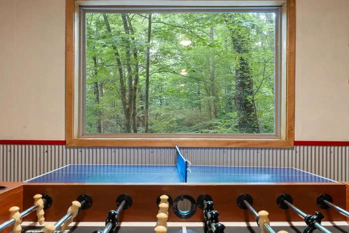 Game room with foosball, ping pong, and serene forest views