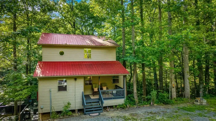 Cozy woodland cabin with a covered porch and peaceful forest setting