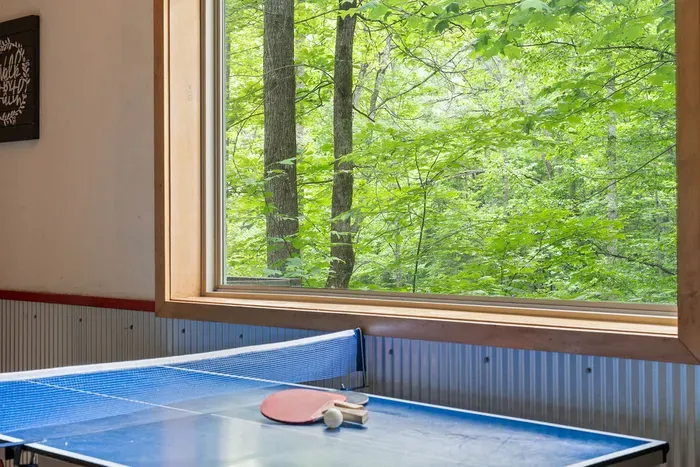 Ping pong with serene forest views through a stunning picture window