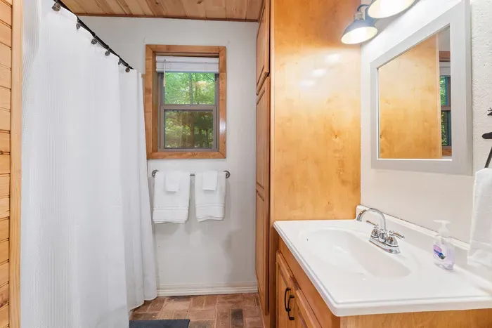 Bright cabin-style bathroom with natural light and warm wood accents