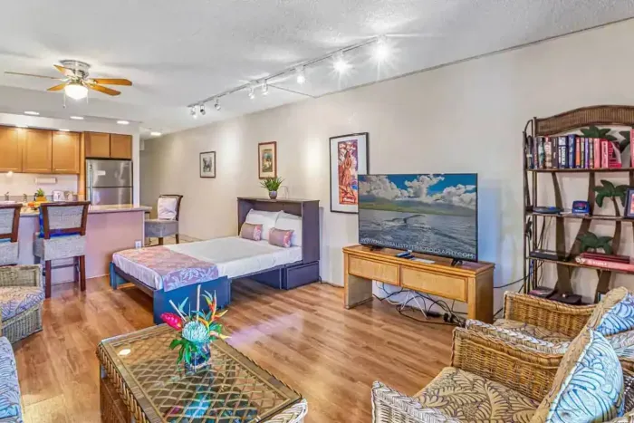 The condo has been renovated and redecorated since this picture. It shows the Murphy bed open 