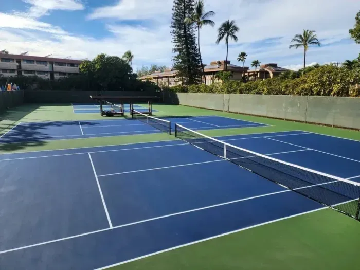 Resort-style tennis courts framed by palms and sunny island skies