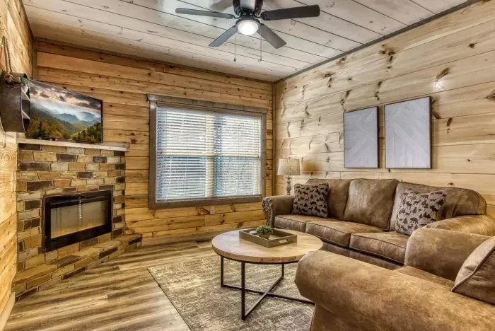 Fireplace and smart TV