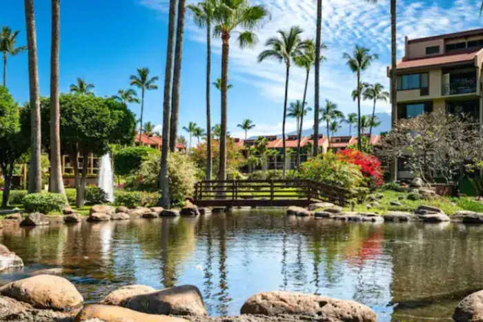 Pond en route to beach