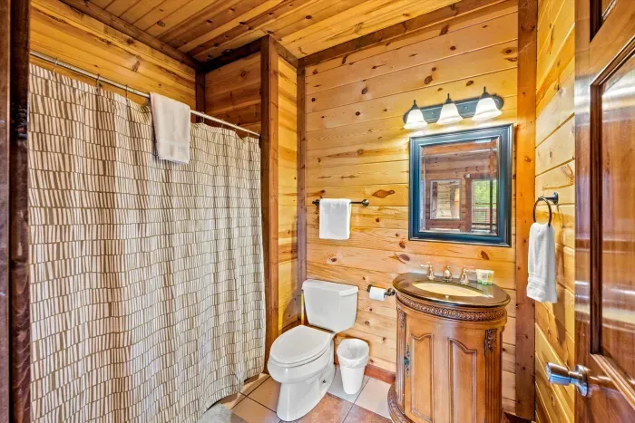 Rustic wood-paneled bathroom with charming vanity and bright lighting