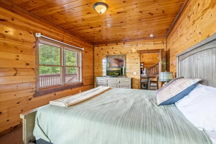 Cozy wood-lined cabin bedroom with TV and peaceful forest views