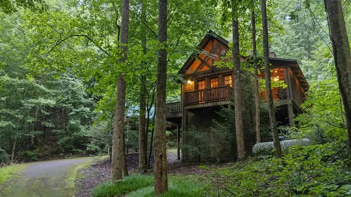 Cozy woodland cabin with glowing porch in a private forest setting