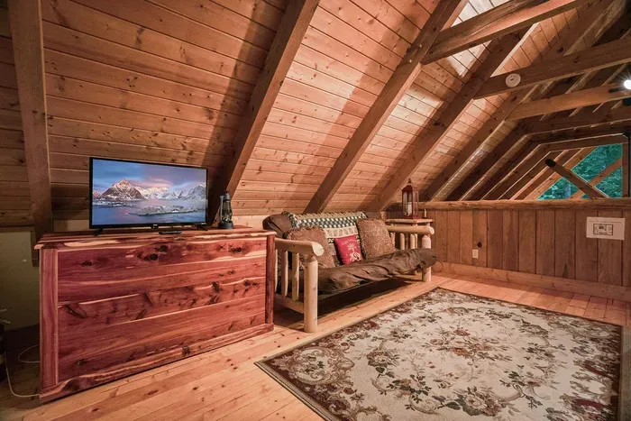 Cozy rustic loft with TV, futon seating, and warm wood cabin charm