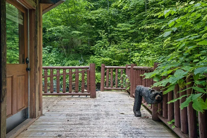 Private forest-view deck with rustic cabin charm