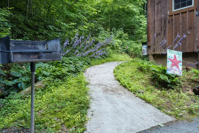 Charming cabin path with lush gardens and grill in a peaceful wooded setting
