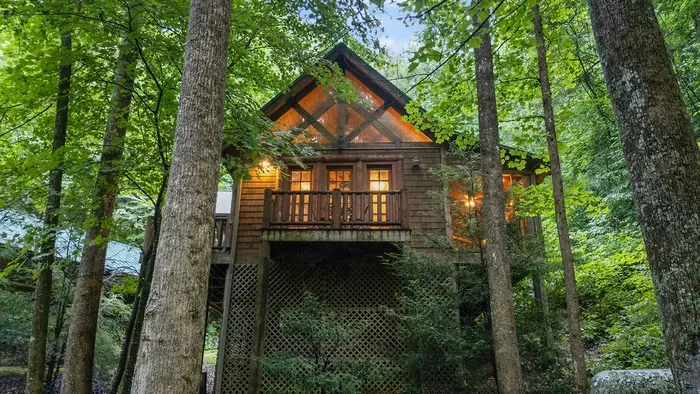 Cozy woodland cabin with warm lights and a peaceful treehouse feel