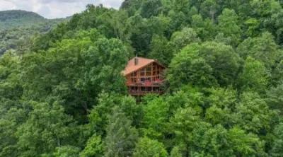 Untitled design (10)