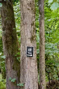 Woodland Mirrorhaus - image 51 of 55