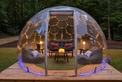Woodland Mirrorhaus - image 6 of 55
