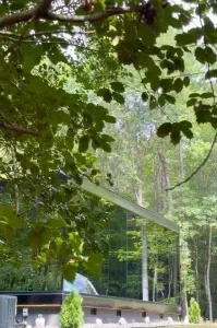 Woodland Mirrorhaus - image 15 of 55