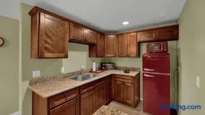 Unique-Hot Tub, Pool, Speakeasy & Secret Golf Room - image 58 of 78