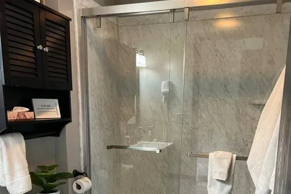Holy Cow Upper Level Full Bath Walk-in shower