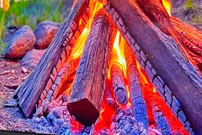 Hot fun all around!