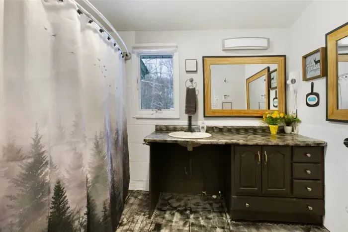Main Floor Game Room Bathroom | Walk-in Wheelchair Accessible
