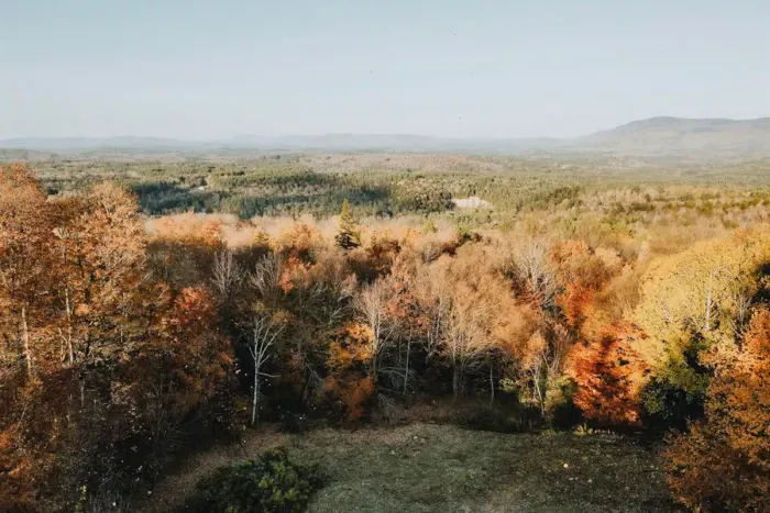 View from the house of the back of the property and miles of mountain views!