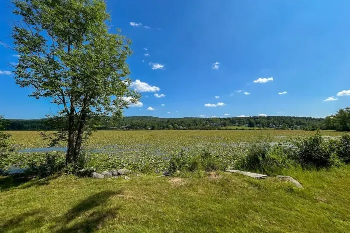 Star Lake is unfortunately covered in lily pads, which prevents swimming or boating, but it still provides a scenic and peaceful view