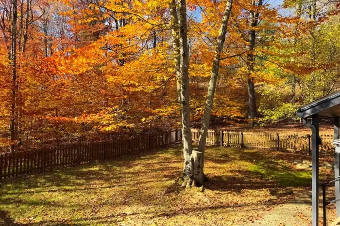 The property sits on 1.8 wooded acres and this fenced in area by the main entrance to the house provides a space for dogs and kids to safely play outside