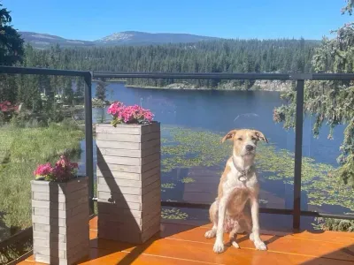 Everly's Hideout, cabin near Kelowna & Big White - image 39 of 42