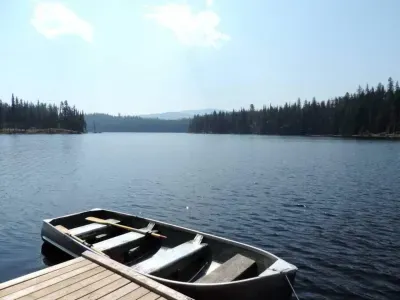 Lovely summertime views from the dock.