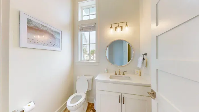 Mockingbird at Sunflower - image 10 of 52