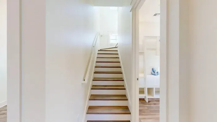 Mockingbird at Sunflower - image 4 of 52