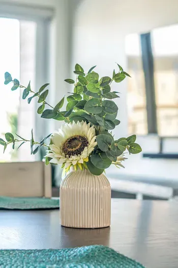 Ohana at Sunflower Beach Resort - image 4 of 24