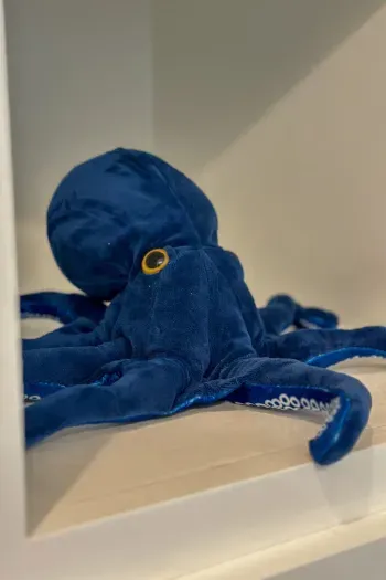 Lazy Seas at Sunflower Beach Resort - image 22 of 67