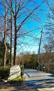 The Liberty Bridge - nature's beauty in the middle of downtown.  A must visit.