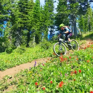A bike rider in a green helmet riding on a trail with wildflowers along side.