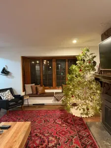 The Tahoe Lodge 2025 Christmas Tree (and the Annual Search for It) featured image