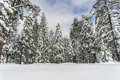 Top 5 Things to Do During a Snowstorm in Lake Tahoe featured image