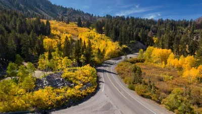 highway leading to mountains in the Tahoe area flanked by yellow fall leaves and green pine trees