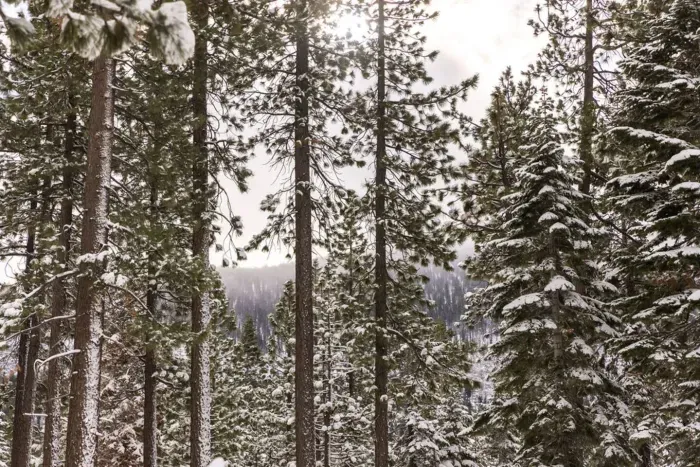 Filtered Mountain Views